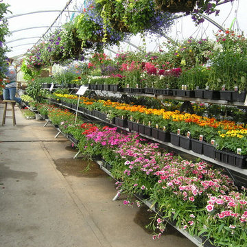Annual Flower Gardens