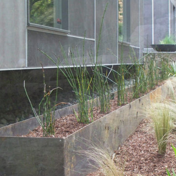 Residential Landscapes