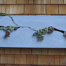 Garden Wall