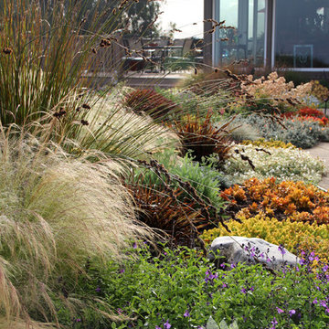 Dry Garden, Palos Verdes, CA