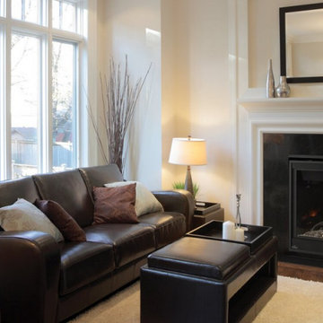 Gas Fireplaces - Traditional Napoleon