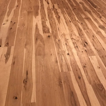Hickory