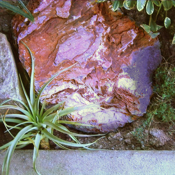 Garden for Reflection and Awareness