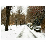 Sadkowski Photography Collection - Artwork, Boston Public Gardens Morning Walkway, Sadkowski Boston Collection - Cold winter morning walkway in the BPG.  Image printed, to order, on archival enhanced matte or premium luster paper with archival ink.  Image measures 24 x 30 including 2 inch border all around.  Shipped in protective tube.  Shipping included.  Image signed by artist.  Larger sizes  available.  From the exclusive Sadkowski  Photography Collection, where every image looks like a painting.