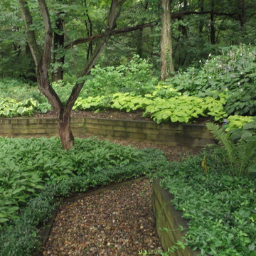 Landscape install in Amana
