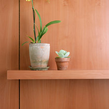 indoor plants