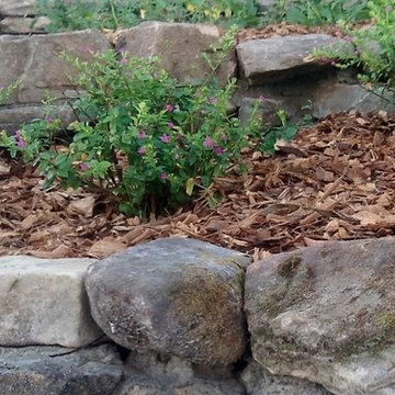 Small landscape renovation