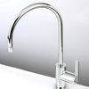 Kingston Brass KS819XCTL-P Continental Single-Handle Water Filtration Faucet, Po