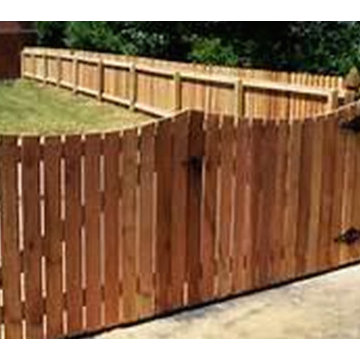 Fence Painting