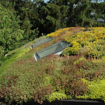Green Roofs