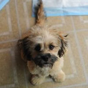 Kathy King's photo