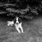 Sam Frelichowski's photo