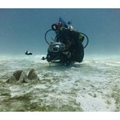 Reef Feers foto