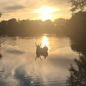 Amy Warner's photo