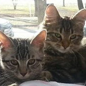 Ellen Markelonis Kappel's photo