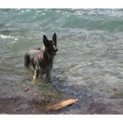 Audrey Wiens's photo