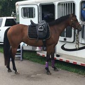 Stacey Burdick-Taul's photo