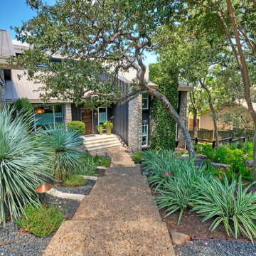 Shade Garden 3