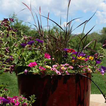 Potted Plants