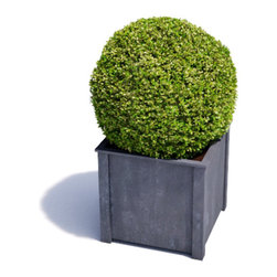 Square Metal Planter - Outdoor Plant Pots & Planters