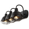 Levi 24.5" 3-Light Industrial Farmhouse Iron LED Vanity, Black
