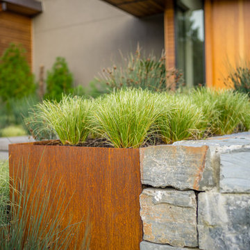 Lakeside Modern