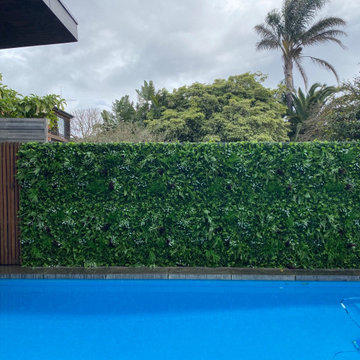 Poolside Refresh with a Contemporary Green Wall Makeover