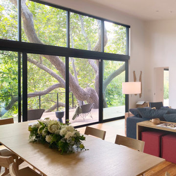 Fawn Residence - Work under Studio Schicketanz