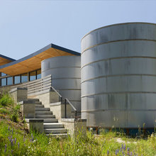 Treehouse Exterior