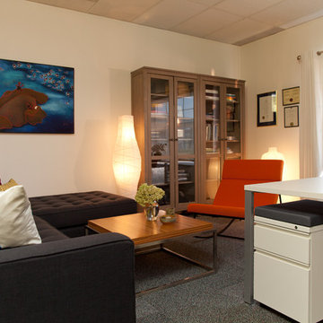DESIGN THERAPY: A RADICAL INTERIOR DESIGN MAKEOVER OF DR. WALSH’S OFFICE.