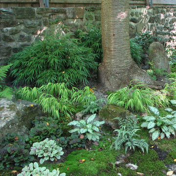 Zen Moss Garden