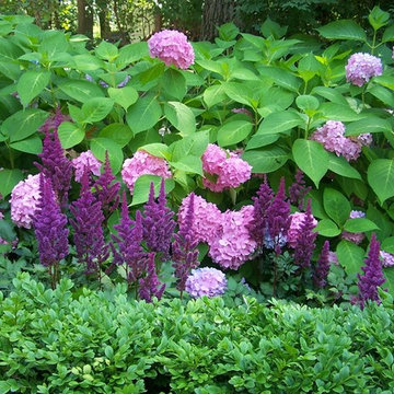 Plants