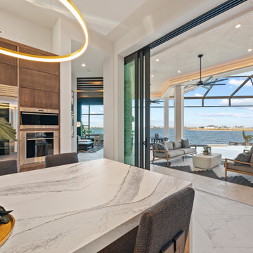 Sand Dollar Model