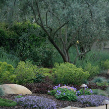 Landscape Ideas