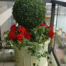 Container Gardening