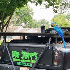 Big Jeff's Painting & Carpentry| Remodeling, LLC