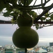 Linh Đặng's photo
