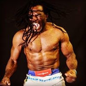 Rameau Sokoudjou's photo