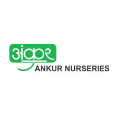 Ankur Nursery