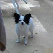 Christine Mcclellan's photo