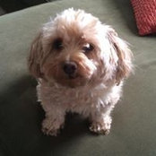 Pam Roberts's photo