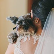 Levely Ibarra's photo