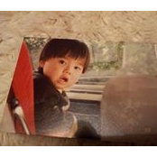 山本光's photo