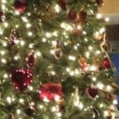 Patricia Lombardi Frankel's photo