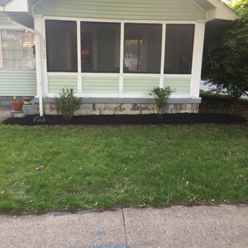 Cleanup of prior landscape- basic