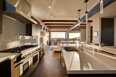 Trendy kitchen photo in Los Angeles