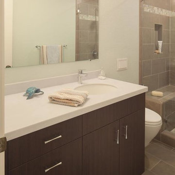 Master and Hall Bathroom Remodels