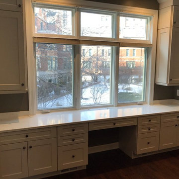 Chicago South Loop Kitchen Remodel