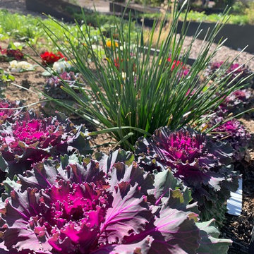 Skysong Culinary Gardens By Agriscaping