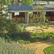 Barn